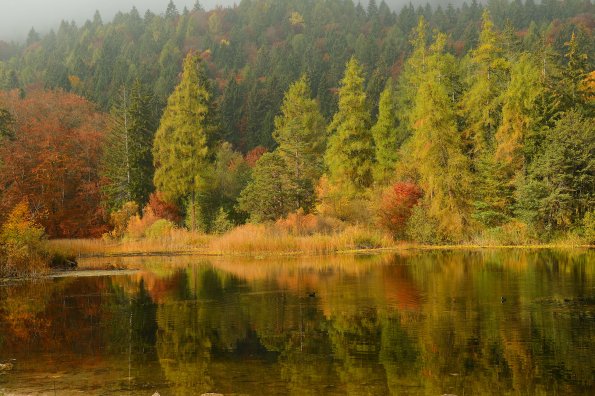 Autunno al Lago di Cei